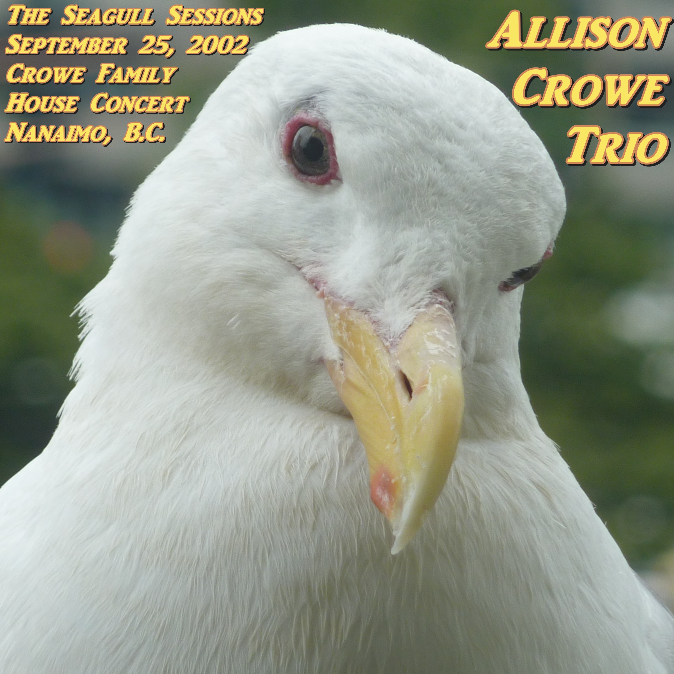 AllisonCroweTrio2002-09-25SeagullSessionsNanaimoCanada (3).jpg